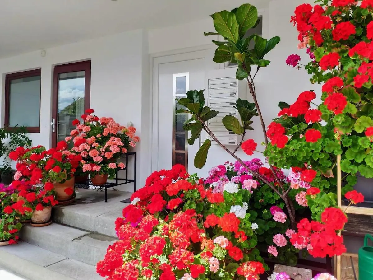 Alpendohle Apartments İnnsbruck